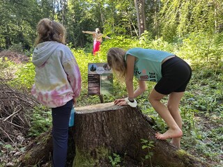 Holiday apartment Velden Outdoor Recording 21