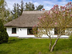 Ferienhaus Haus: Terrasse, Garten - Waase - image1