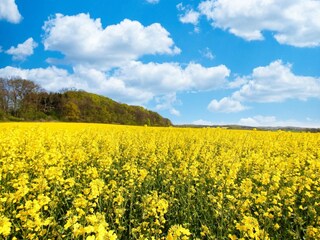 Landschaft
