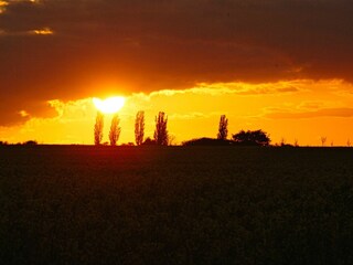 Landschaft