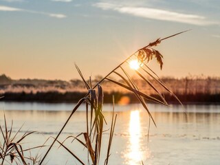 Landschaft