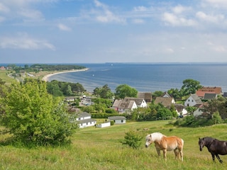 Landschaft
