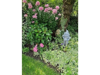 Der Wächter des Gartens