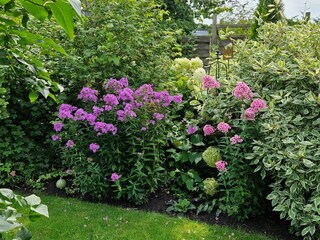 Details aus dem Garten