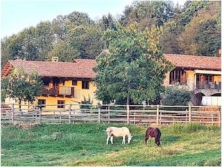 Ferienhaus Somano Außenaufnahme 2