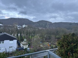 Blick zum Rheingrafenstein und zur Gans