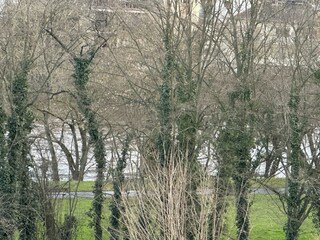 Blick zur Nahe, Kunapark und Naheradweg