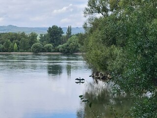 Am_Rhein_nahe_Bingen