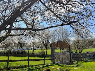 Ranch-Gelände zur gemeinsamen Nutzung