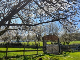 Ranch-Gelände zur gemeinsamen Nutzung