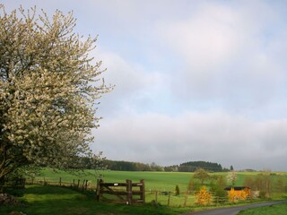 Eingezäunter Freilauf