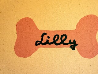 Haustürschild Lilly