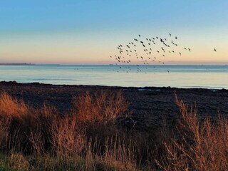 Holiday house Kramnitse Outdoor Recording 30