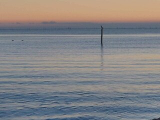Ferienhaus Kramnitse Außenaufnahme 4