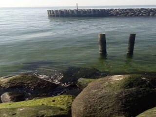 Ferienhaus Kramnitse Außenaufnahme 17