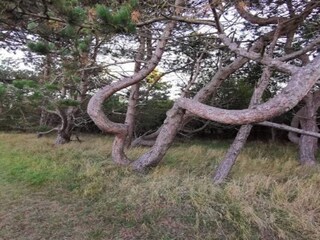 Ferienhaus Kramnitse Außenaufnahme 32