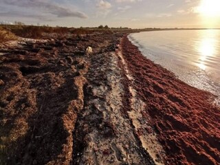 Casa per le vacanze Kramnitse Registrazione all'aperto 7