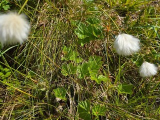 Vakantiehuis Welt  36