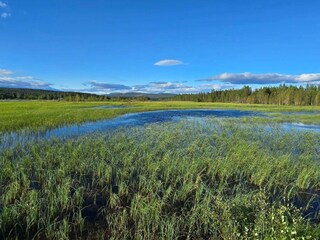 Vakantiehuis Welt  47