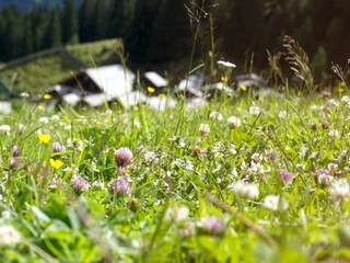 Appartamento per vacanze Kappl Ambiente 33