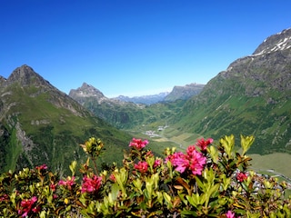 Ferienwohnen Mattle, App. 4-6 Pers./Alpenrosenblüte