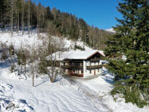 Ferienhaus Schönbacher Hütte - Drachselsried - image1