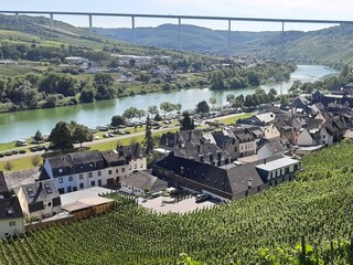 Blick in das Moseltal