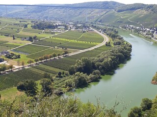 Die Mosel unweit von Weiler