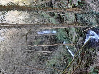 Dortebachtal I Klotten 22032020