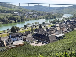 Blick in das Moseltal