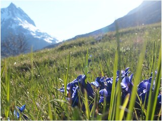 Appartamento per vacanze Galtür Registrazione all'aperto 8