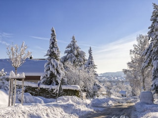 Haldenbergstraße im Winter