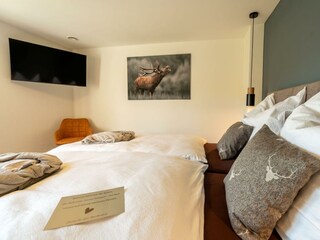 waldschlafzimmer_inkl__tv