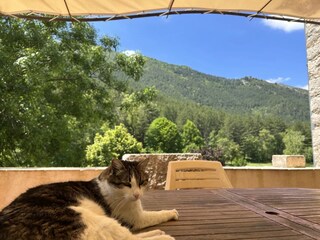 Ferienhaus Castellane Umgebung 8