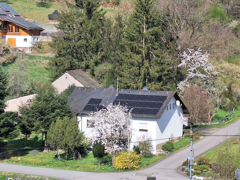 Apartment Ferienwohnung Gräfendhron