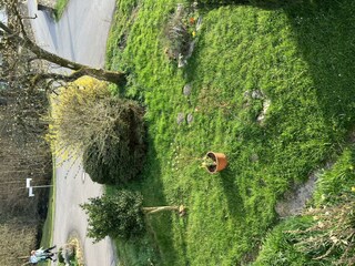 Ferienwohnung Gräfendhron Gästegarten 1