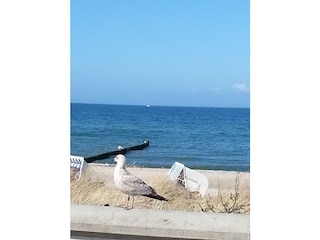 Ausblick auf die Ostsee