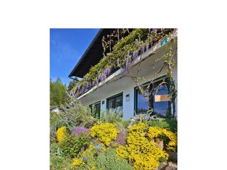 Bienenfreundlicher Garten