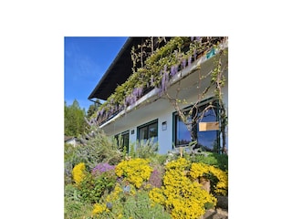 Bienenfreundlicher Garten