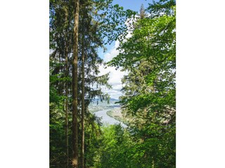 Blick auf den Nachbarort Riol vom "Felsenkreuz"