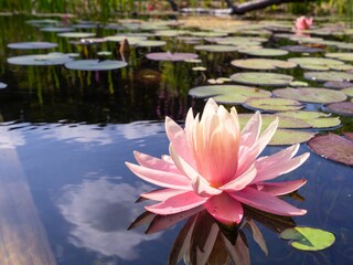 Ferienwohnung Erbach Außenaufnahme 8