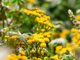 Ferienwohnung Erbach Außenaufnahme 4