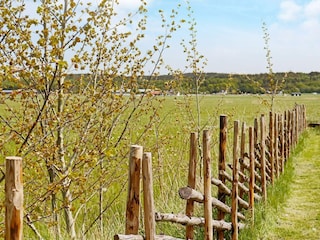 Holiday house Bua Outdoor Recording 15