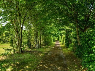 Vakantiehuis Ejstrupholm Buitenaudio-opname 10