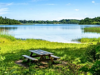 Vakantiehuis Ejstrupholm Buitenaudio-opname 10