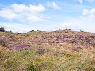 Holiday house Vester Husby  34