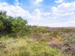 Vakantiehuis Vester Husby  25