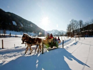 Vakantiepark St. Lorenzen ob Murau Omgeving 32