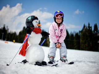 Parc de vacances St. Lorenzen ob Murau  33