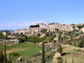 Type de propriété : Ferme Montescudaio Environnement 14